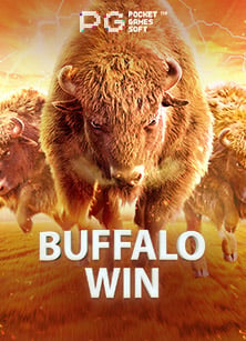 โปรฝาก 50 รับ100 pg คุ้มจริงหรือ?